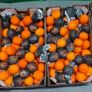 Mini Oranges