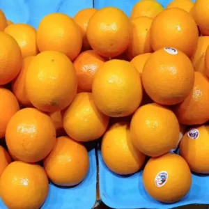 Malta Oranges (Imported)